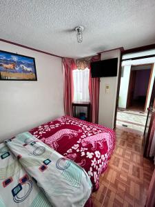 Dormitorio pequeño con cama y TV en Nuevo Horizonte, en Pasto