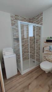 uma casa de banho com um chuveiro e um WC. em Tout confort. Appartement 2 pers. centre-ville em Le Creusot