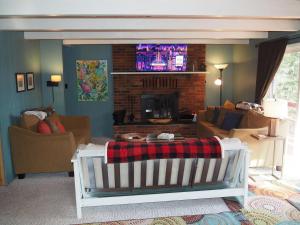 uma sala de estar com um sofá e uma lareira em Cub Hill Chalet - Private Lakefront With Spa! em Kalkaska