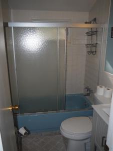 a bathroom with a toilet and a blue tub at The Cub Hill Chalet - Private Lakefront With Spa! in Kalkaska +42 photos