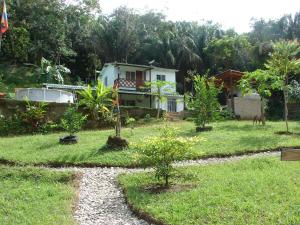 a garden with trees and a house in the background at Casa Mapaná in Minca