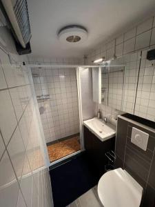 La salle de bains est pourvue de toilettes, d'un lavabo et d'un miroir. dans l'établissement Dennenrust A-frame huisje middenin het bos., à Lanaken