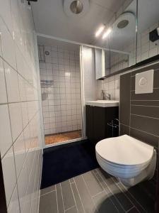 La salle de bains est pourvue d'une douche et de toilettes. dans l'établissement Dennenrust A-frame huisje middenin het bos., à Lanaken
