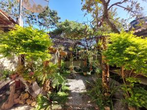 einen Garten mit vielen Pflanzen und Bäumen in der Unterkunft Pousada Bangalôs Cipó in Serra do Cipo