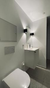 a bathroom with a toilet and a sink and a mirror at ApartmentInCopenhagen Apartment 1577 in Copenhagen