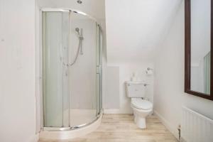 a bathroom with a shower and a toilet at Lovely one bedroom flat. in Belfast