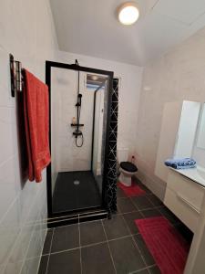 uma casa de banho com um chuveiro, um WC e um espelho. em Hello Appart sur Rémire-Montjoly em Bourda
