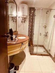 La salle de bains est pourvue d'une douche et d'un lavabo. dans l'établissement PYRAMIDS TOWER Inn, au Caire