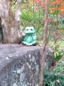 a frog sitting on top of a rock at COZY Inn Free Shuttle service in Nikko
