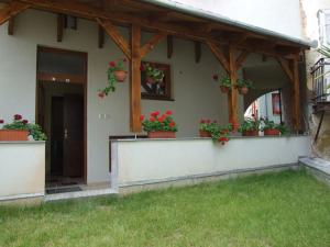 une maison avec des plantes en pot à l'avant dans l'établissement Hotel Diána, à Pécs