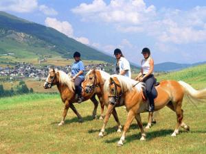 three people riding on horses in a field at Apartment in Tyrol near Ski Slopes in Hochgallmig