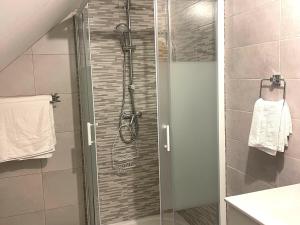 eine Dusche mit Glastür im Bad in der Unterkunft Apartment for 4 people, in the heart of Alsace in Châtenois
