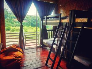 クアラ・タハンにあるWild Lodge Taman Negaraの二段ベッド2台と窓が備わる客室です。