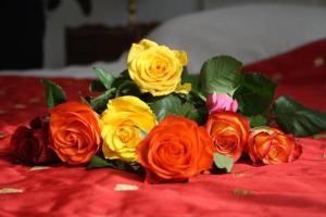 a bouquet of colorful roses on a red table at Maison la Belle Plage in Asnelles