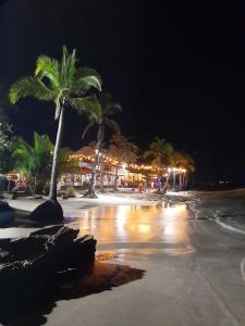 una playa de noche con palmeras y luces en Stay-ya, Diplo's Street, en Puerto Limón