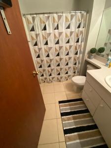 a bathroom with a shower and a toilet and a sink at Downtown CLE Loft, River View, King Bed, Free Parking in Cleveland