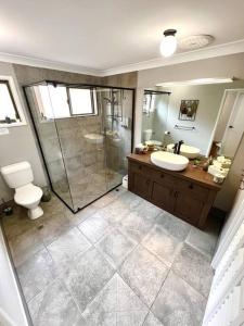 a bathroom with a shower and a sink and a toilet at Three Palms in Kooralbyn
