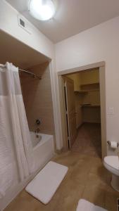 uma casa de banho com uma banheira, um WC e um lavatório. em Stylish Downtown Retreat em Houston