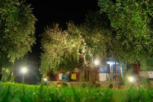 Zahrada ubytování Studios Elianthos