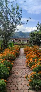 un camino de ladrillo a través de un campo de flores naranjas en Host Labs Homestay - Premium View - Close to Kaichi Dham, Bhimtal, Sattal, and more, en Bhimtal