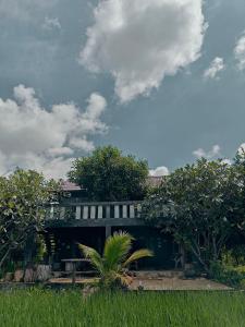 un edificio con una palmera en un campo en hueankwankao เฮือนขวัญข้าว, 