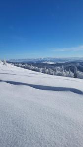 un campo innevato con alberi in lontananza di Amelie's House a Rajcza