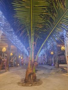 Foto sihtkohas San Vicente asuva majutusasutuse Hotel Gabarra Lodge galeriist
