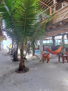 Foto sihtkohas San Vicente asuva majutusasutuse Hotel Gabarra Lodge galeriist