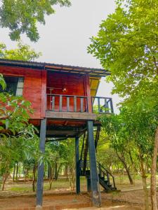 Zahrada ubytování Ceylon Amigos Eco Resort