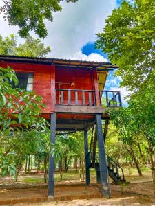 Zahrada ubytování Ceylon Amigos Eco Resort