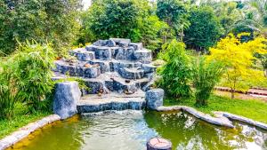 Zahrada ubytování Ceylon Amigos Eco Resort