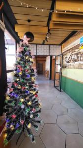HarhorinKharkhorin hostel的相册照片