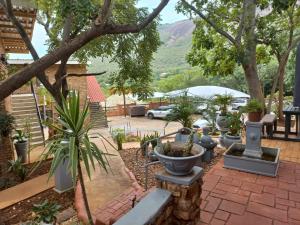 a garden with a bunch of potted plants at Maroela Guest Lodge in Thabazimbi