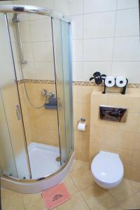 a bathroom with a toilet and a glass shower at Dobra Miejscówka in Krynica Zdrój