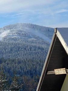 Fotografie z fotogalerie ubytování Janowa Góra Apartament v destinaci Stronie Śląskie