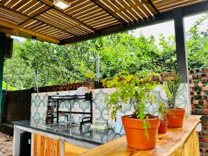 a patio with potted plants on a table at Anna Little Garden - Homestay Sóc Sơn - Thong House in Hanoi