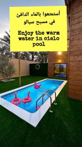 una pubblicità per una piscina con fenicotteri rosa di Cielo Beach Resort 