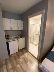 a small kitchen with a sink and a shower at Puffin Boutique - Istanbul in Istanbul +44 photos