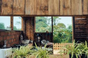 uma cozinha com grandes janelas e plantas num quarto em Lang Thang House em Kon Von Kla