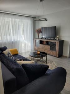 a living room with a blue couch and a tv at Maironio apartamentai in Radviliškis