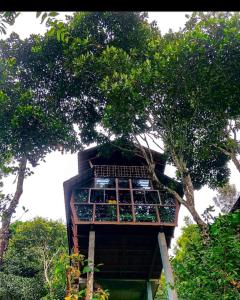 Ogród w obiekcie Tree House Wayanad