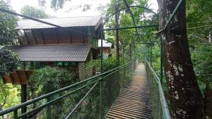 Zdjęcie z galerii obiektu Tree House Wayanad w mieście Muthanga