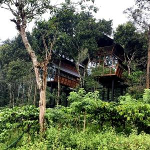 Zahrada ubytování Tree House Wayanad