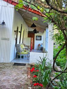 Un jardín fuera de The Riverdeck Accommodation and Backpackers