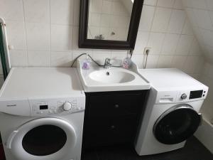 y baño con lavadora y lavamanos. en Mimalou Apartment in Meerane, en Meerane