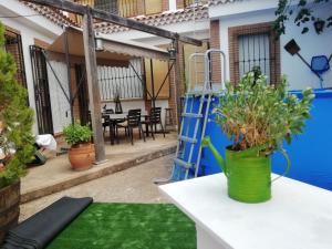 a patio with a green vase on a table with plants at CASA BACO in Casas Ibáñez