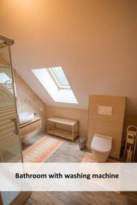 La salle de bains est pourvue de toilettes et d'une lucarne. dans l'établissement Vineyard cottage Škatlar 3, à Otočec