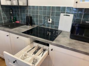 Dapur atau dapur kecil di Tabago Studio 13 K-K Wierzbowa