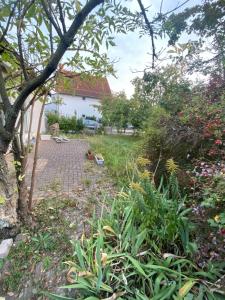 a garden with a brick walkway in front of a house at Es ist ein sehr schönes Haus in Raunheim