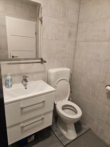 a bathroom with a toilet and a sink and a mirror at Apartman FITT in Zagreb